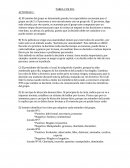 Actividad FOL Fases del conflicto