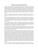 EJEMPLO DE LA HISTORIA DE LAS ESTRUCTURAS METÁLICAS