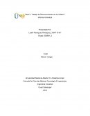 EVALUACION DE PROYECTO Ensayo