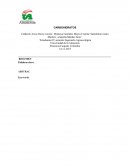 Carbohidratos - Estudiantes IV semestre Ingeniería Agroecológica