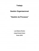 Breve descripción de la organización