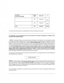 ASAMBLEA GENERAL EXTRAORDINARIA DE ACCIONISTAS. Página 7