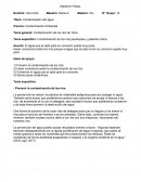 ENSAYO CONTAMINACIÓN DE LOS IROS TENA Actividad de aprendizaje 1