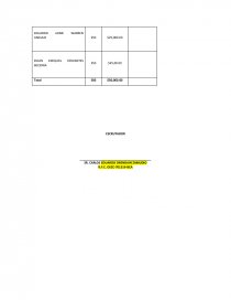 ASAMBLEA GENERAL EXTRAORDINARIA DE ACCIONISTAS. Página 10