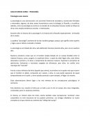 Psicología y Desarrollo Profesional Guia GUIA DE MEDIO CURSO – PSICOLOGÍA