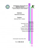 Modelos racional, racionalidad limitada y politico