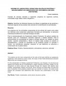 INFORME DE LABORATORIO: DESNATURALIZACIÓN DE PROTEÍNAS Y RECONOCIMIENTO DE AMINOÁCIDOS DEL SUPLEMENTO DIETARIO (PROTOZYME)