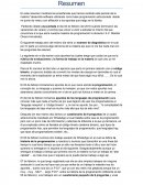 RESUMEN PROGRAMACIÓN 1ER PERIODO