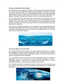 ¿Por que es importante cuidar el agua?