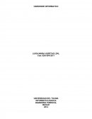 HARDWARE INFORMATICO