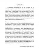 Alimentación de ovinos