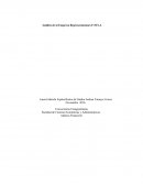 Análisis de la Empresa Representaciones F.M S.A