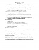 Rutas energeticas