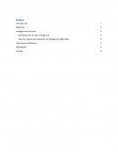 Informe sobre inteligencias Multiples