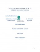 ¿Qué es el maltrato animal?