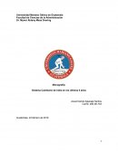 Sistema Cambiario de India en los últimos 5 años