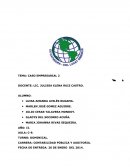Investigacion de Mercado CASO EMPRESARIAL 2