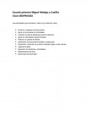 Introduccion SERVICIO SOCIAL Escuela Primaria Miguel Hidalgo y Costilla