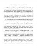 Las relaciones género humano y medio ambiente