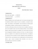 Intervencion a la sexualidad en niños de septimo