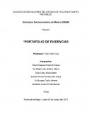 Portafolio de ESEM
