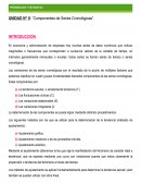 UNIDAD N° 8: “Componentes de Series Cronológicas”