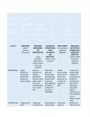 Plan de vida en cuadro