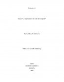 Evidencia Ensayo “La importancia de las redes de transporte”