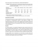 Estadistica Presentación de resultados