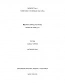 Territorio y diversidad cultural ¿Que entendemos por ser iguales? ¿y por ser diferentes?