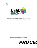 Procesos individuales de la organizacion ENERO 2018