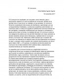 Ensayo sobre El Currículum