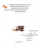 CONSTITUCIONALIZACION DEL CONTENCIOSO ADMINISTRATIVO EN VENEZUELA PROGRAMA CIENCIAS JURIDICAS Y SOCIALES