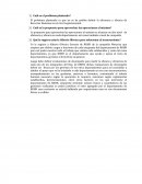 El problema planteado es que no se ha podido definir la eficiencia y eficacia de Recursos Humanos en el nivel organizacional.