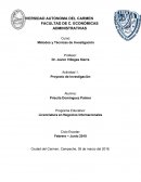 DUMPING - PROYECTO DE INV