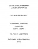 BIOLOGIA LABORATORIO Diferenciacion celular