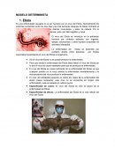 CUALES SON LOS MODELOS EPIDEMIOLOGICOS