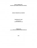 ANALISIS CASO FÄHNER CONTRA VON SCHIRACH ENSAYO CRIMINOLOGIA