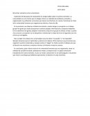 Historia Mi primer semestre como universitario