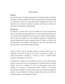 Determinación de la gravedad