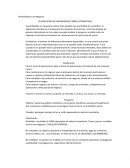 FACTIBILIDAD EN NEGOCIOS