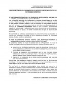 IDENTIFICACIÓN DE LOS FUNDAMENTOS FILOSÓFICOS Y EPISTEMOLÓGICOS DE MI PROCESO FORMATIVO