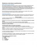 Sistema nervioso autonomo Define sistema nervioso autónomo