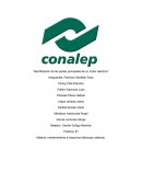 Partes de un motor electrico “Identificación de las partes principales de un motor eléctrico’’