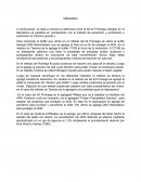 Discusion. Conclusiones