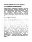Proceso declarativos sobre derechos reales: MEDIDAS CAUTELARES EN PROCESOS DE FAMILIA