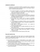 EXIGENCIAS LABORALES. RELACION CONTRACTUAL