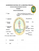 Plan de marketing de una empresa productora y comercializadora de aceite de copaiba