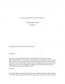 ¿Qué influencia tienen los procesos en las empresas?