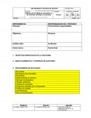 RESPONSABLES DEL PROCESO: Modelo informe auditoria